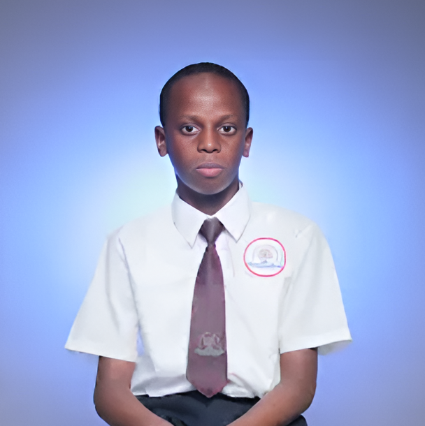 BlossomHall School Abuja, Best private school in Abuja, best nursery school in your area of Abuja, schools with small class sizes in Abuja, private school with modern facilities in Abuja, Best private school in Abuja, Top nursery and primary school in Abuja, Affordable private school in Abuja, British curriculum school in Abuja,